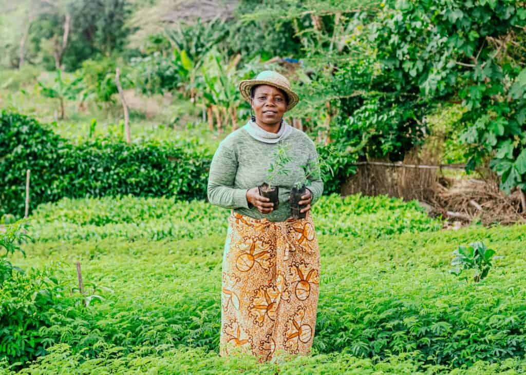 Betty's Forest Garden