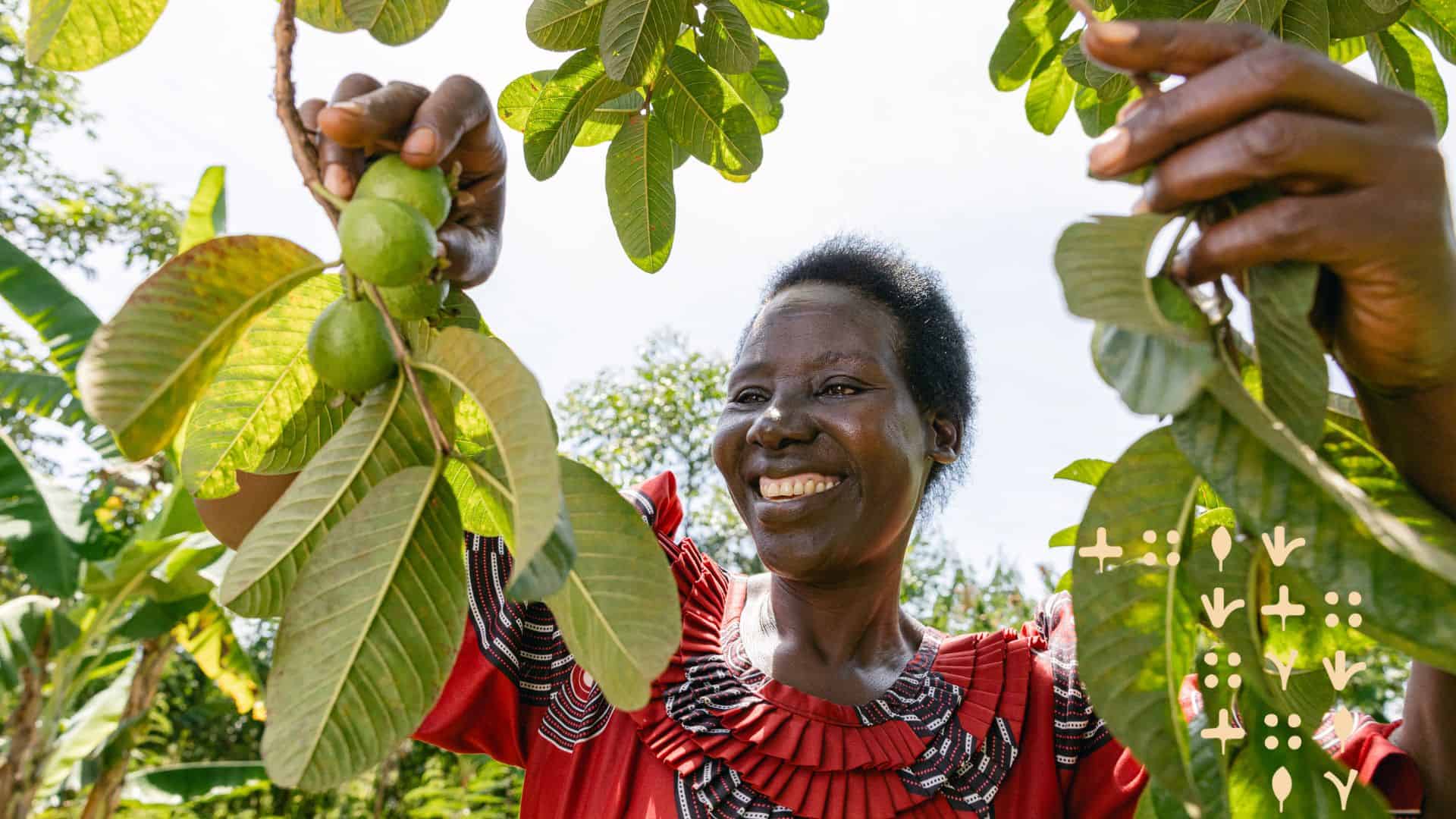 A smiling woman plucks fruit from a tree
