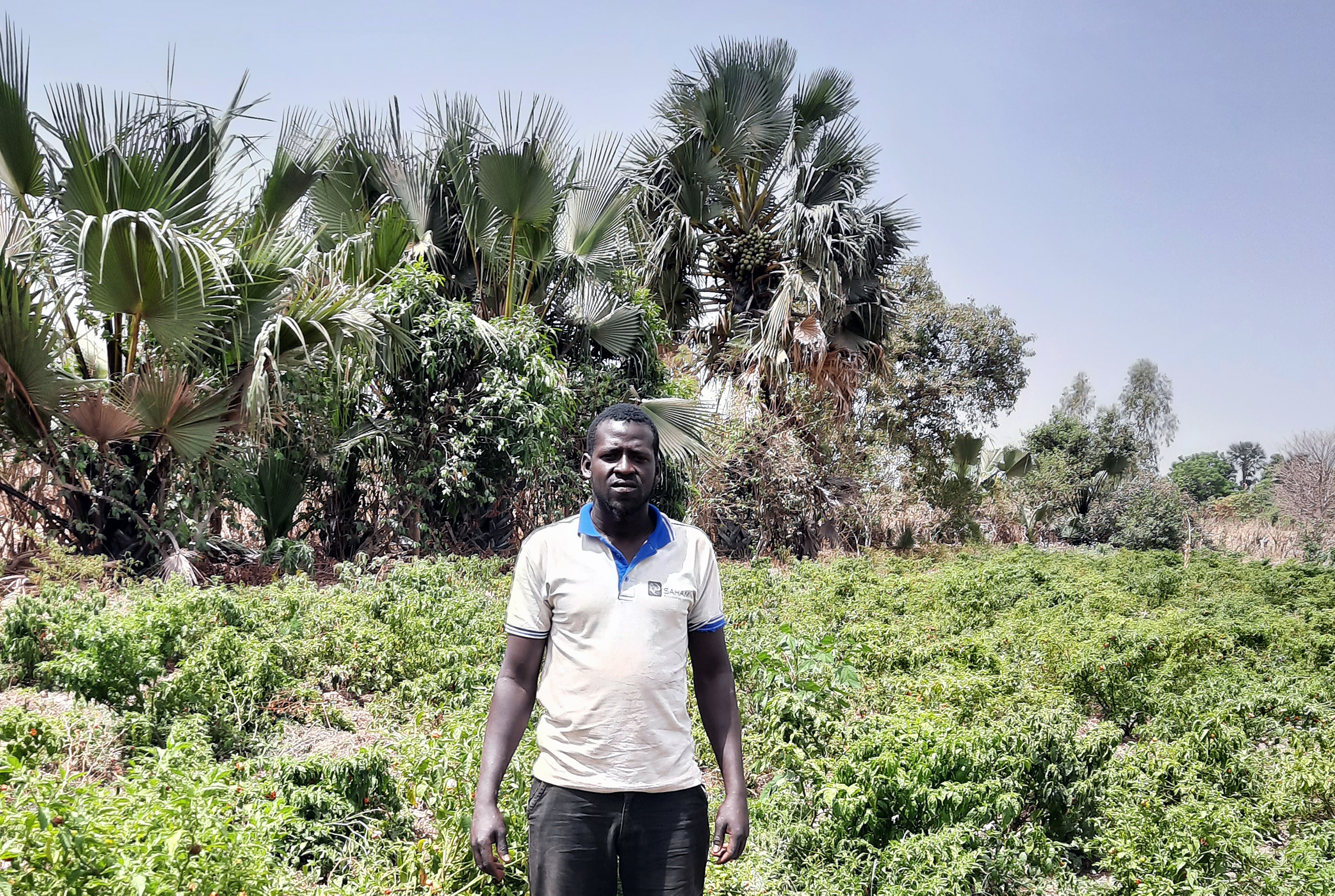Balla stands proudly in his Forest Garden in Mali.