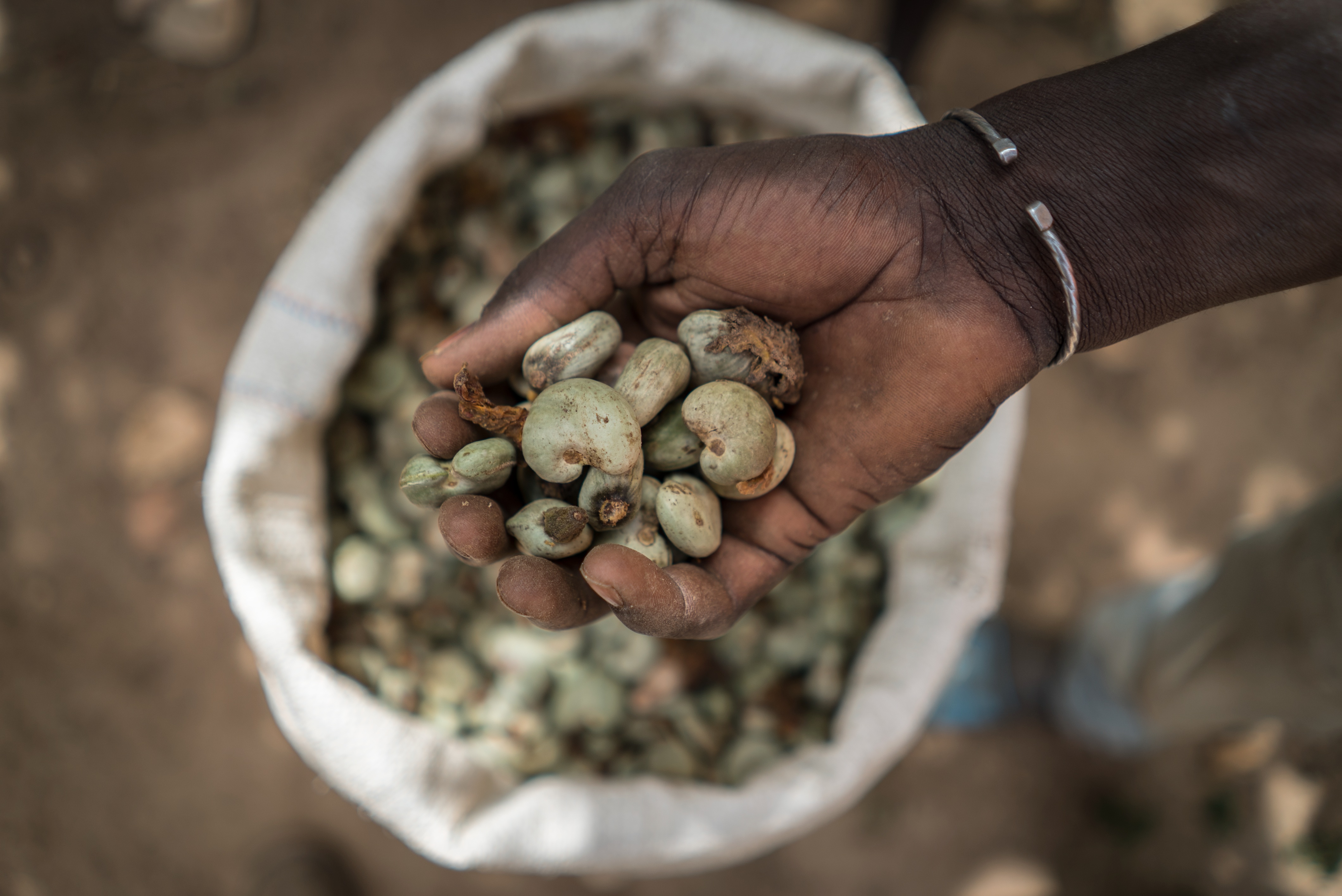 A person holding cashews in hand