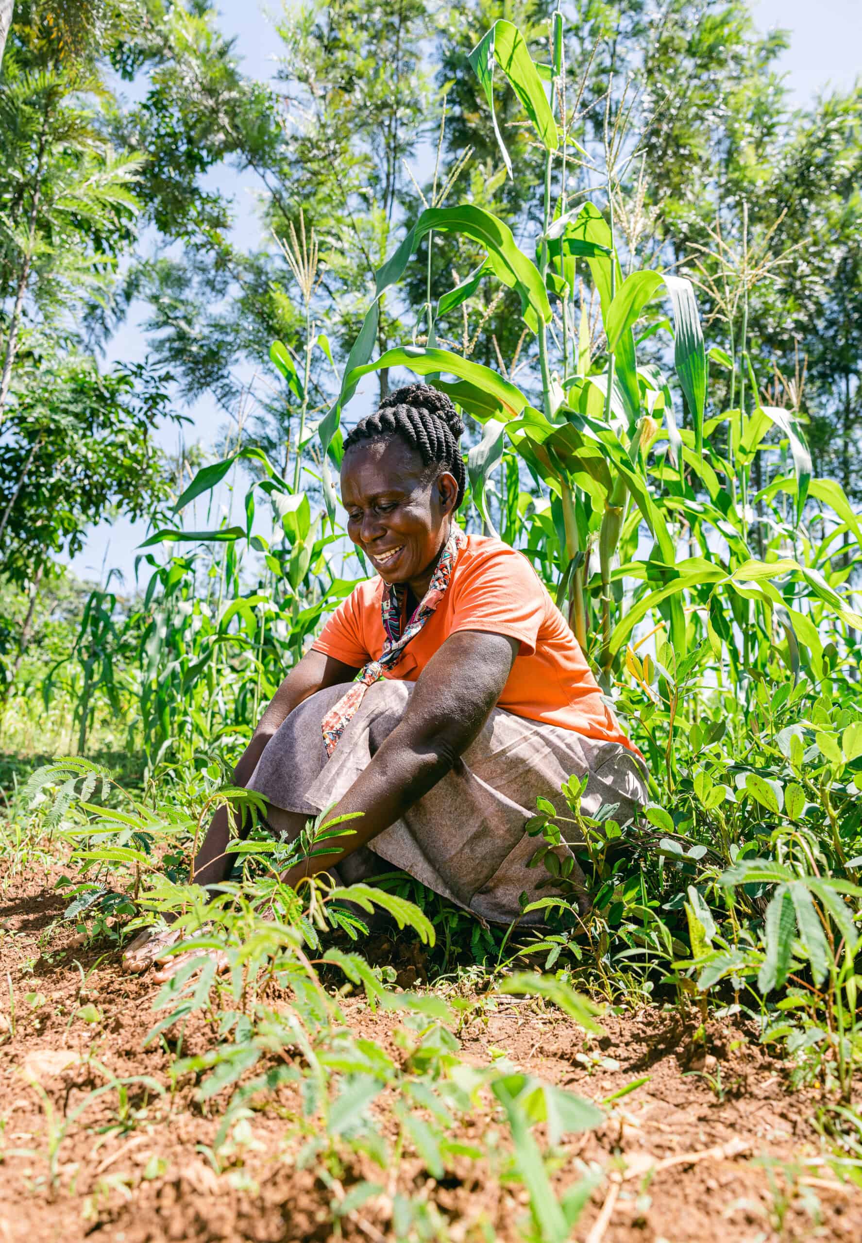 A woman working in the field - Trees for the Future
