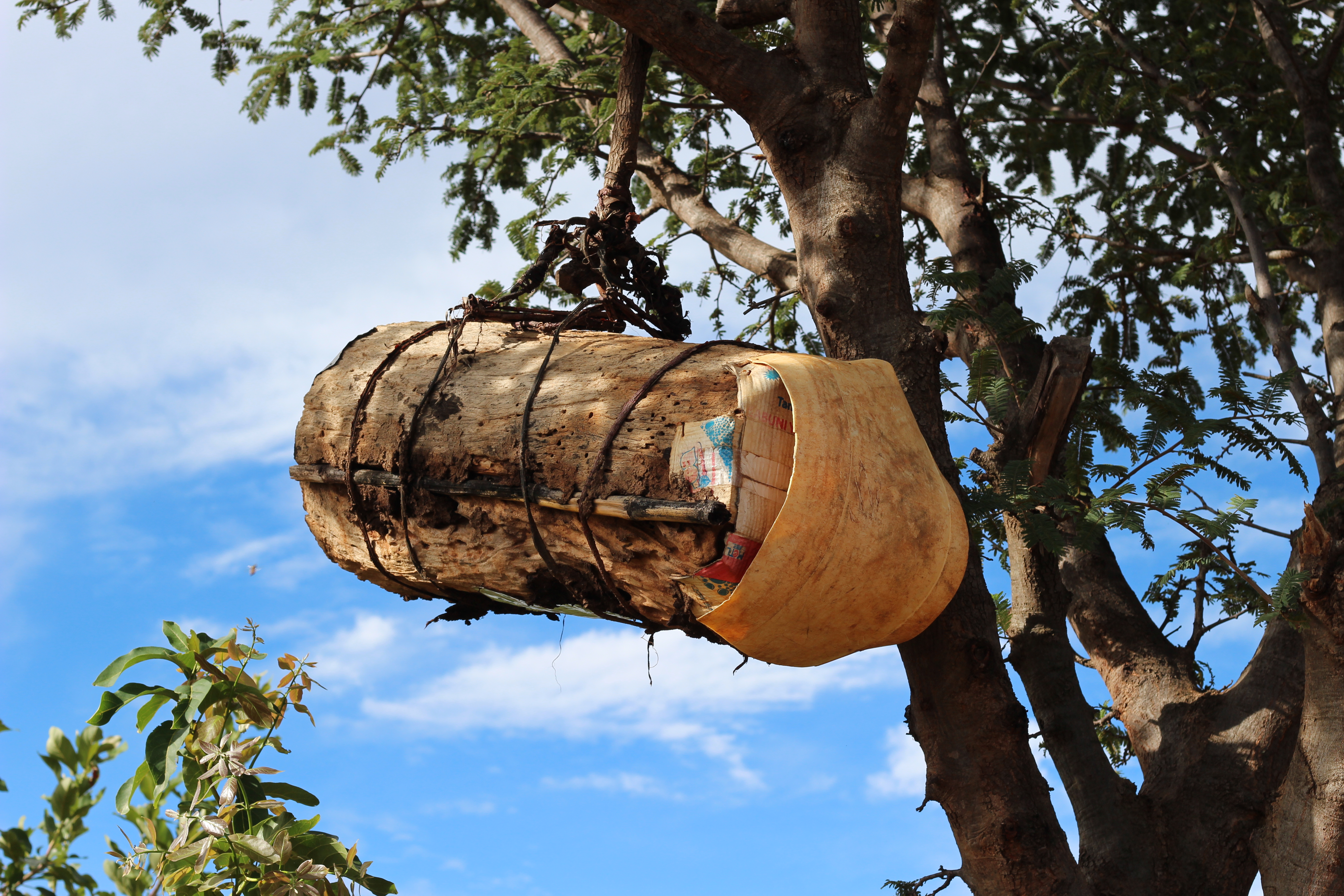Traditional beehive in a Forest Garden, illustrating the benefits of beekeeping and sustainable farming practices.