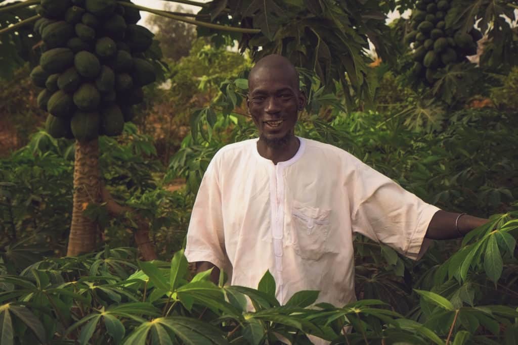 A man standing in a Forest Garden, showing the impact of sustainable agriculture