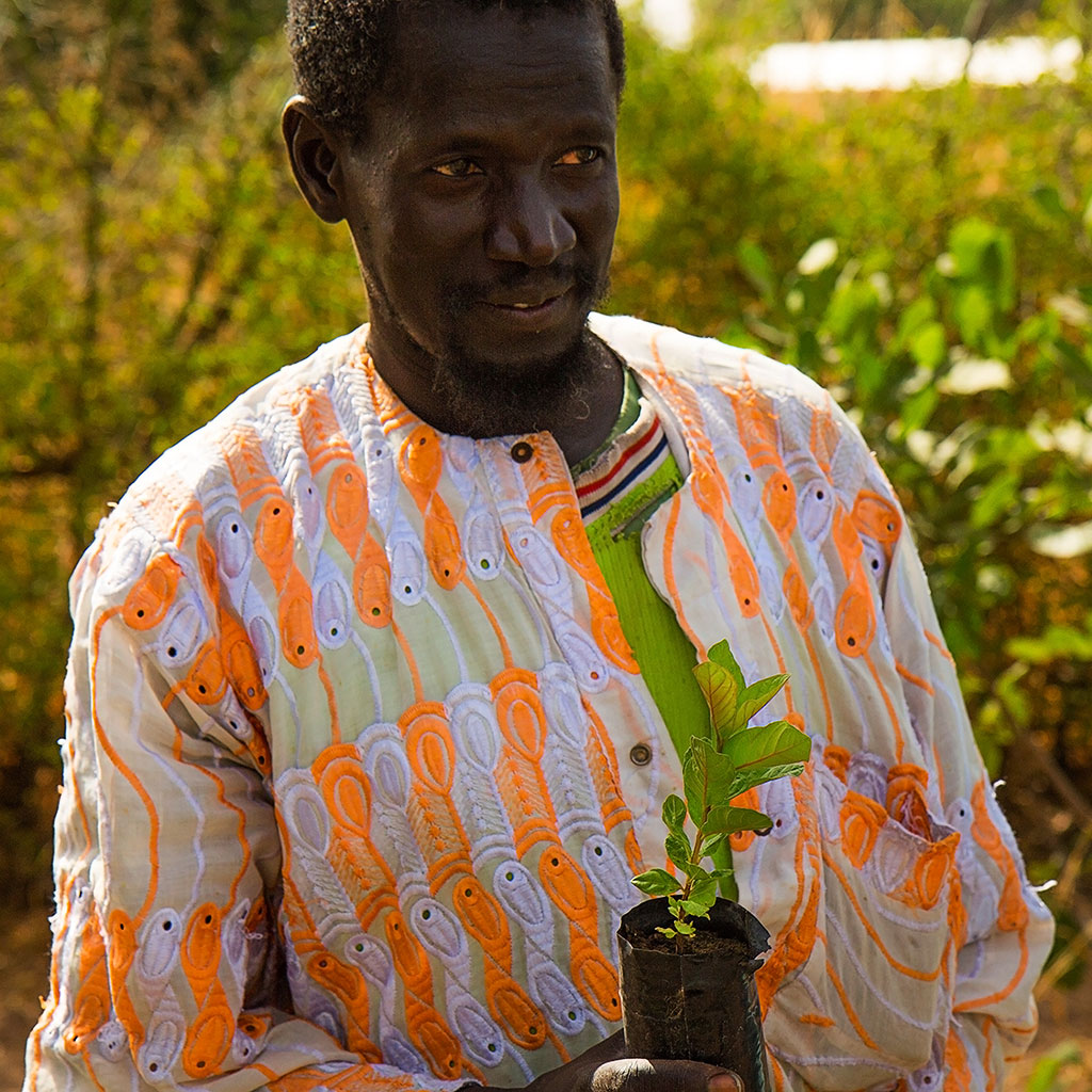 Mate Mbaye holding a plant