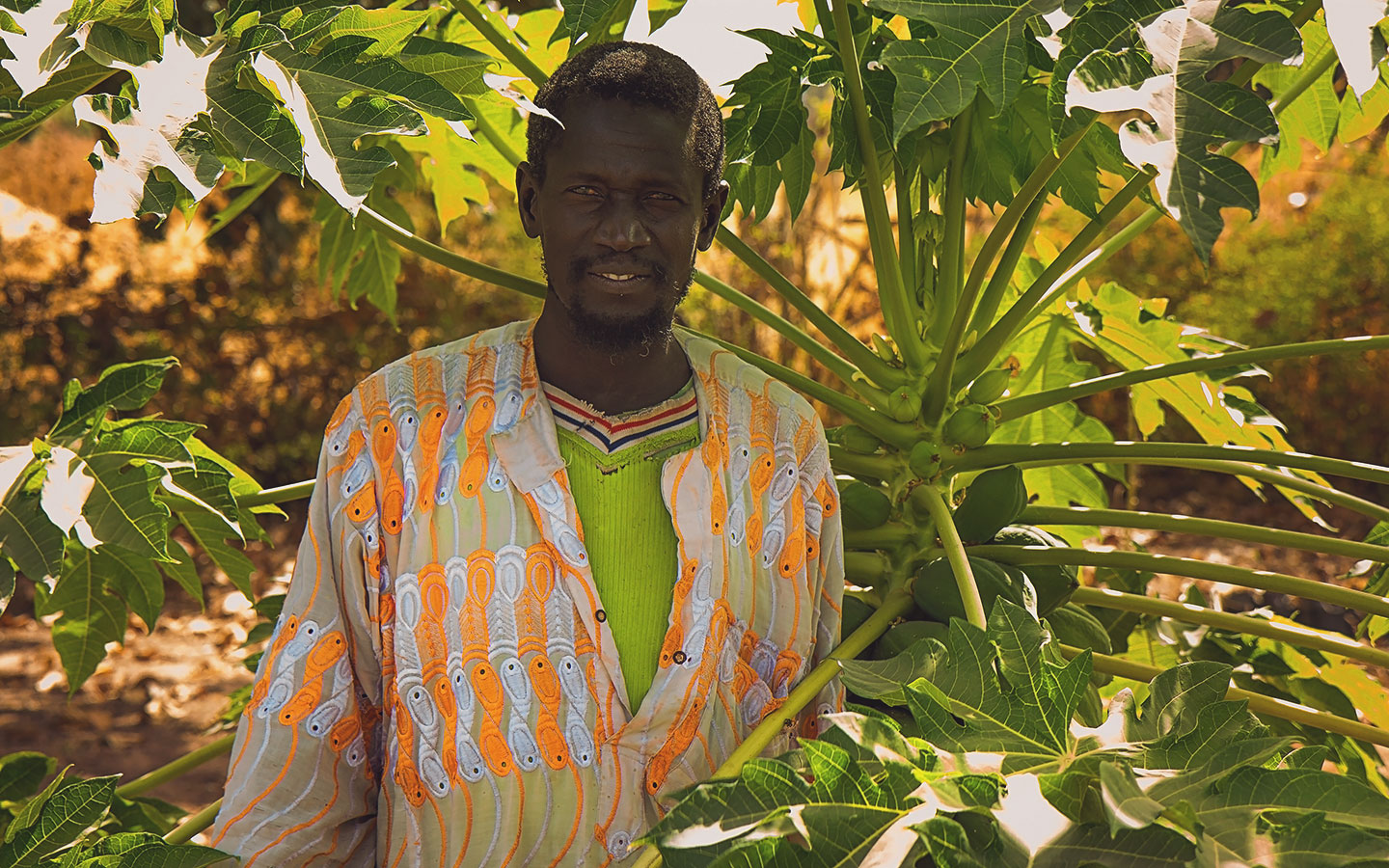 Mate Mbaye in his papaya garden