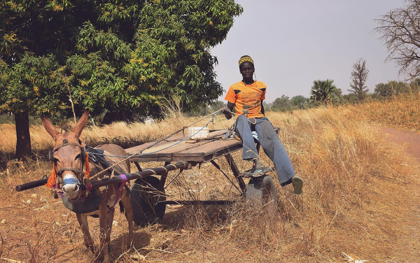 A young man on a donkey cart