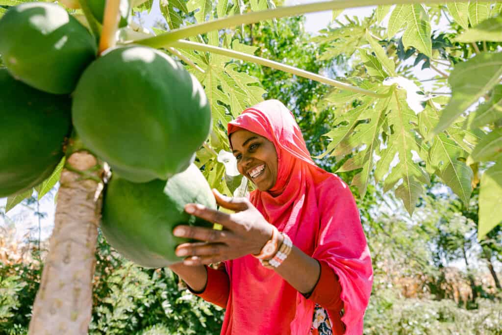 Nuriati harvesting after VSLA training