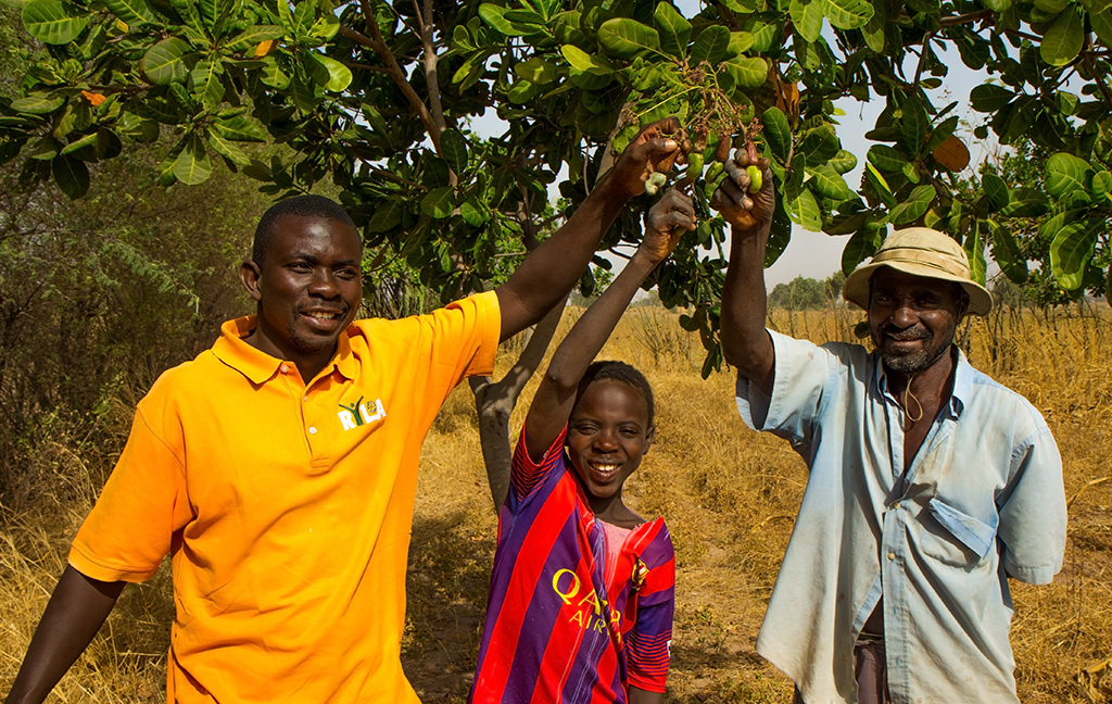 Ousmane and his family under a cashew tree