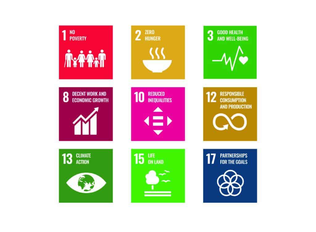 Sustainable development goals