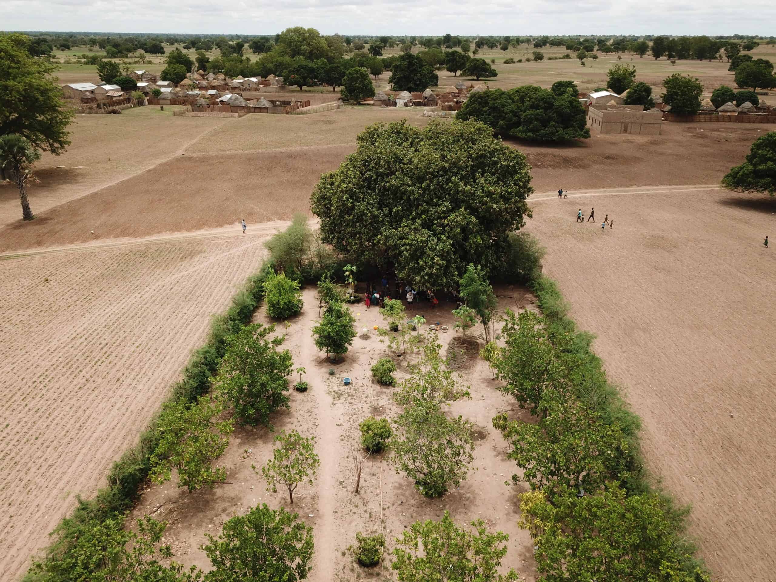 Impact reports show an aerial view of a flourishing green field in a dry landscape.